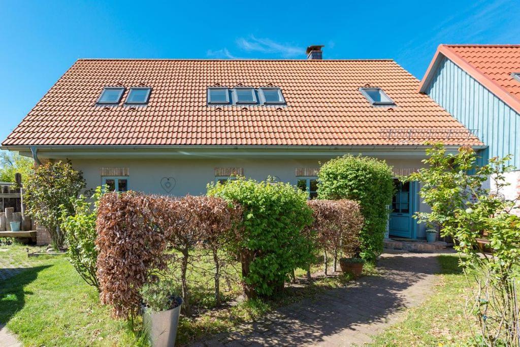 Ferienscheune Seelchen Neuendorf  Dış mekan fotoğraf