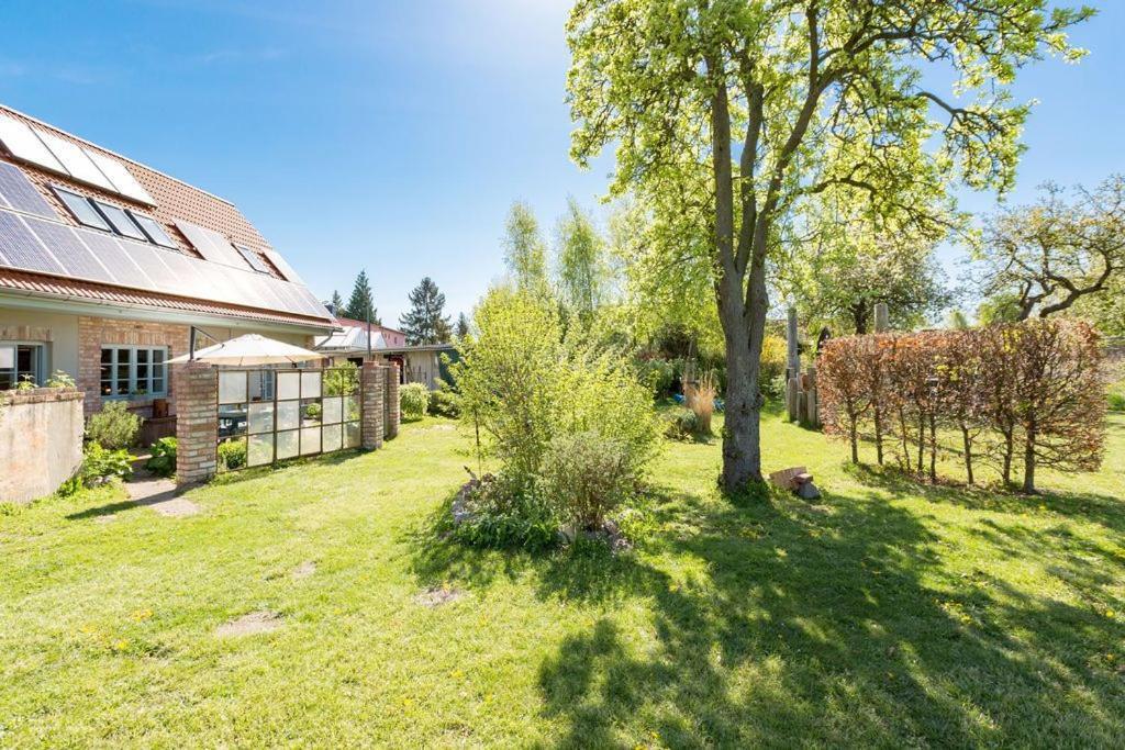 Ferienscheune Seelchen Neuendorf  Dış mekan fotoğraf